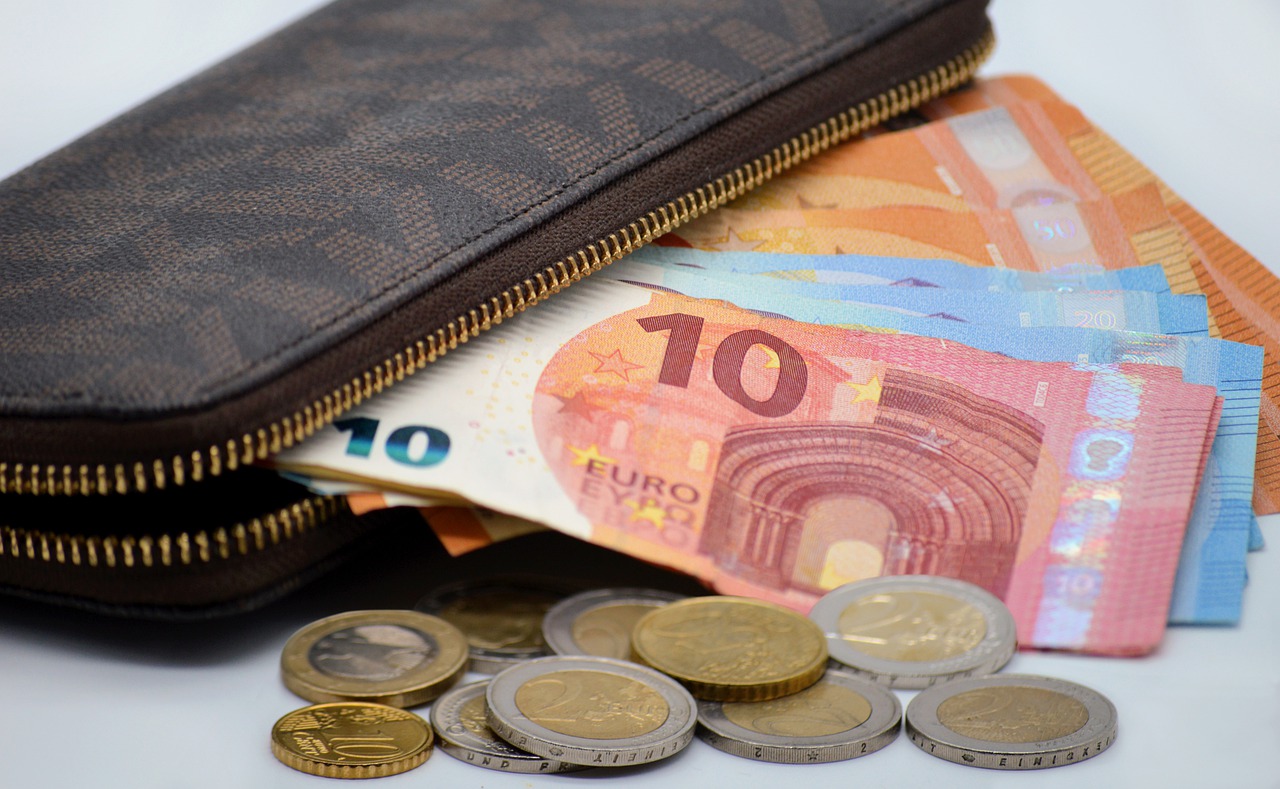 Money Wallet Inflation Banknotes  - neelam279 / Pixabay